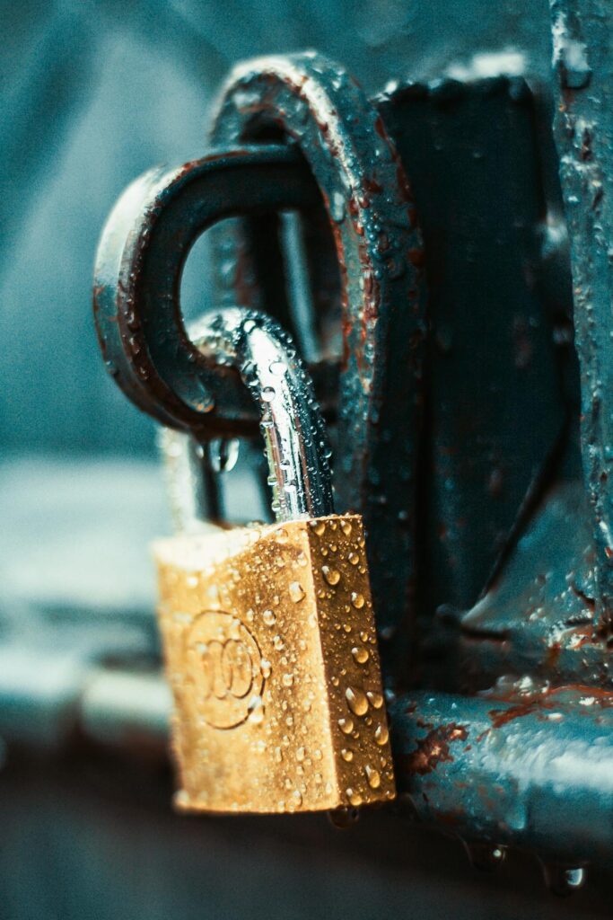 pexels-githirinick-1068349-683x1024 Why Your Website Needs an SSL Certificate: Security, Trust, and SEO Benefits
